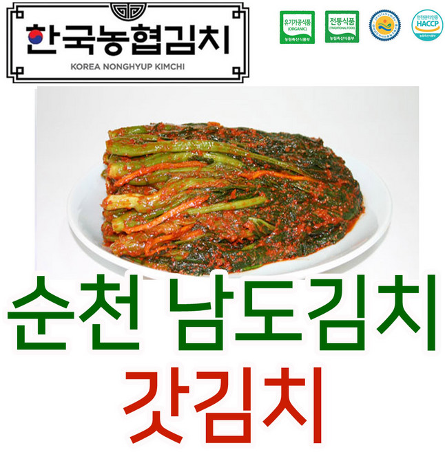 입점특가 한국농협김치 순천 남도 갓 김치 전라도 HACCP 국내산, 5kg, 1개