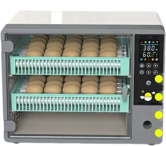 全自動孵蛋器 小型家用智能孵化機 溫濕雙線 觸摸面板 靜音孵化 蘆丁雞柯爾鴨鸚鵡鵪鶉適用, 24枚智臻款（110V單電）