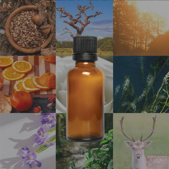 조향베이스 조향원료 [ 20ml ], 1개, 55 오크모스