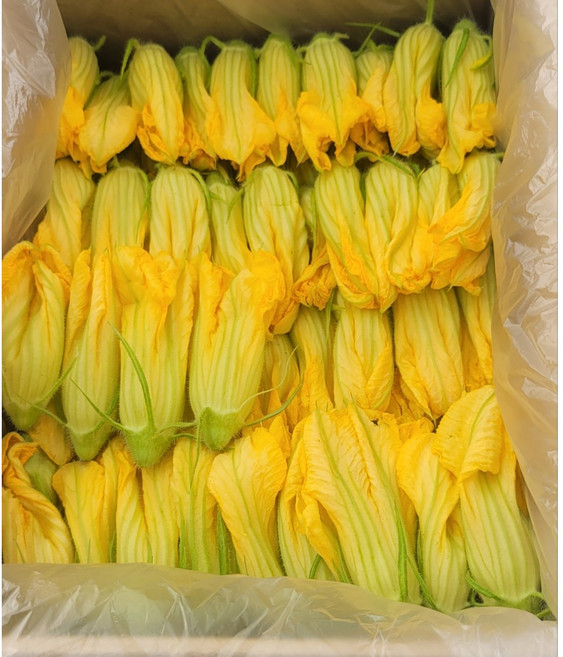 호박꽃 10송이 특수채소 가니쉬 식용꽃, 10개, 50g