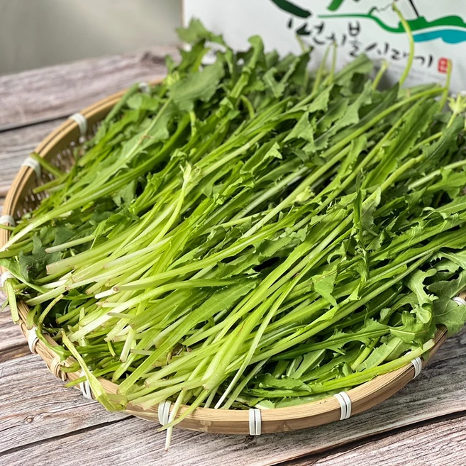 국내산 토종 하얀 민들레잎 생민들레, 500g, 1개 - 쿠팡