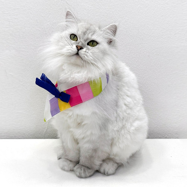 호나미네 강아지 고양이 한복 색동 옷고름 케이프, 1개