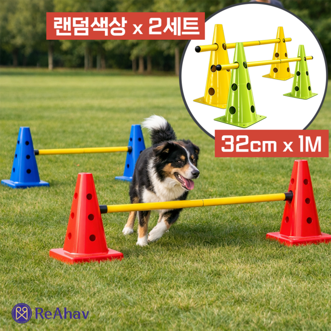 레아하브 점프콘 강아지 어질리티 훈련도구, 2세트, 랜덤