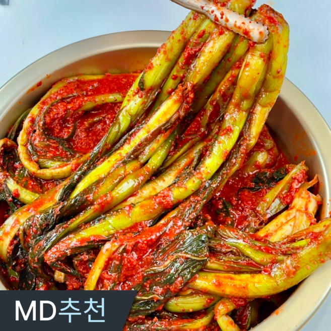 삼시세끼연구소 톡쏘는데 깊은맛 전라도 여수 돌산 갓김치, 1세트, 10kg