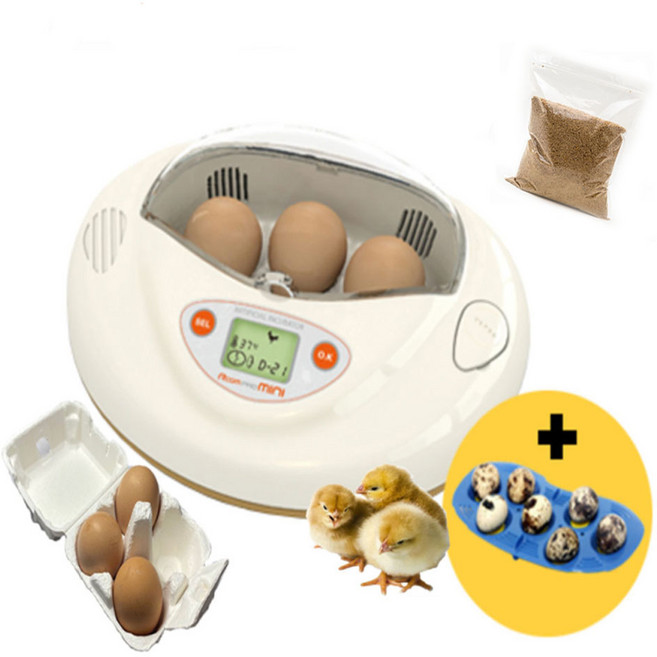 병아리부화기 알콤미니 부화기 소란대포함 PX-03 사은품 알콤 조류 자동부화기, 흰색 + 알3개 + 사료, 1개