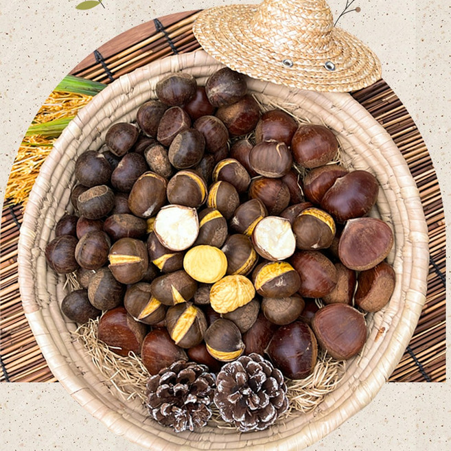 중국산(하북성) [피플농장] 약단밤 (칼집) (주황망), 1개, 1kg