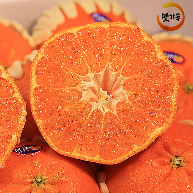 맛가득 제주 타이벡 감귤, 타이벡 감귤 L (40-46과) 5Kg, 1개