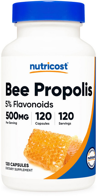 뉴트리코스트 비 프로폴리스 5% 플라보노이드 500mg 120캡슐, 120정, 1개