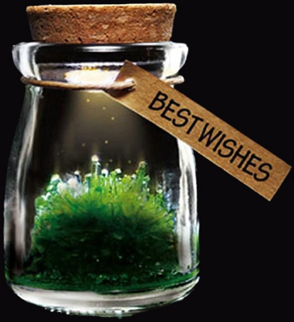 (미래과학)LED수정키우기, 1개