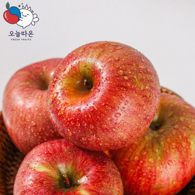 (홈쇼핑)오늘따온거창 알뜰 햇 못난이사과(부사) 6kg / 16 34과(과당 185g 400g)