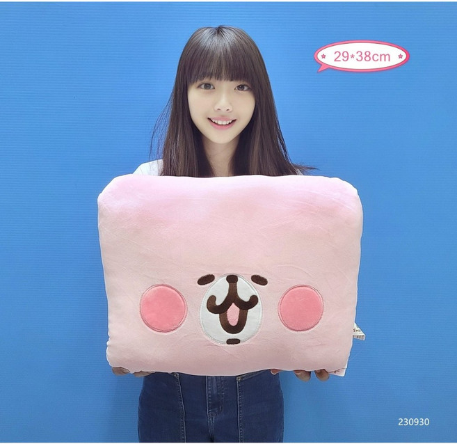 兔兔 小雞 p助 全新正版, 卡娜赫拉-電鏽方枕