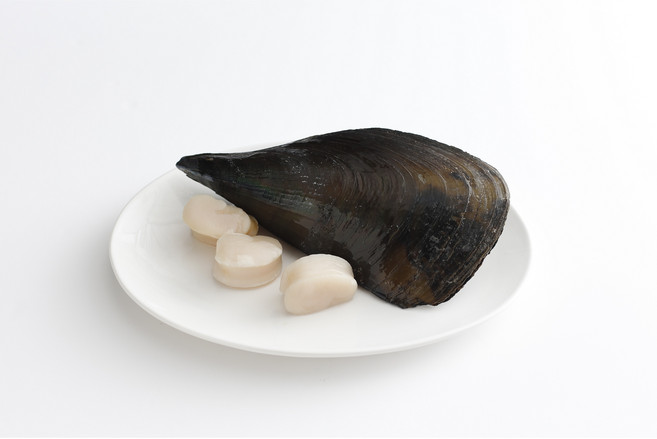 냉동 신선한 키조개 관자 1kg 개아지살 패주 관자구이 관자삼합, 1개, 1kg(31-40개)