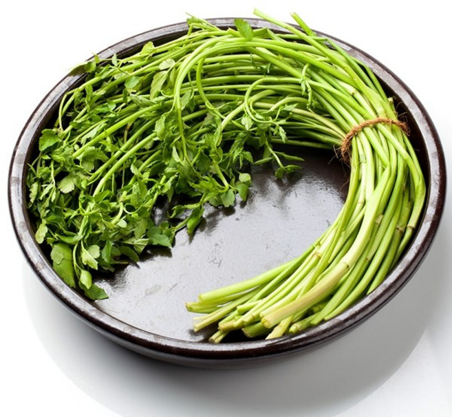 국내산 생미나리 신선한 향긋한 채소 요리용 건강채소, 1kg, 1박스