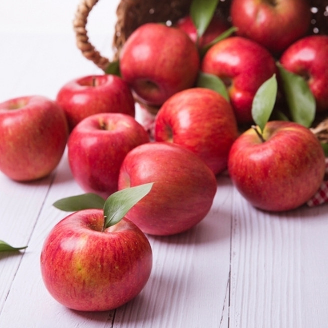 기타 [자연품애] 사과 실중량 9kg 주스용, 1개