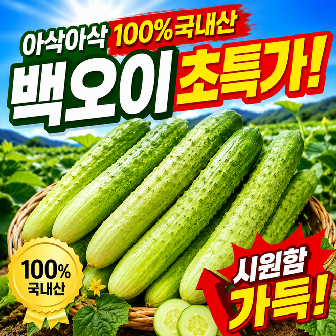 [100%국내산] 한정특가 산지직송 아삭한 오이 백오이, 1박스, 2kg 내외