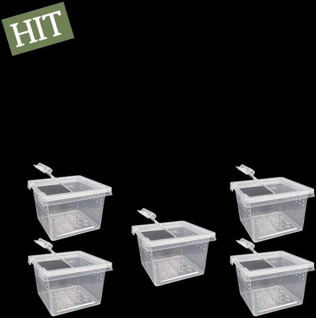 러스트몰 파충류 미니사육장 5p, 5개, 반투명