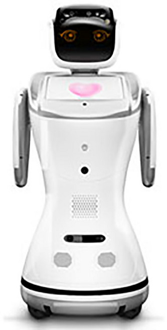 AI슈타인/교육용로봇/안내용로봇/인공지능로봇/얼굴&음성인식로봇, 대