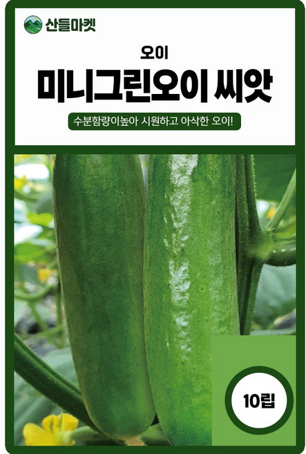 미니그린 오이 씨앗 10립 흰가루병 노균병에 강한 수분 많은 오이씨 종자, 3개