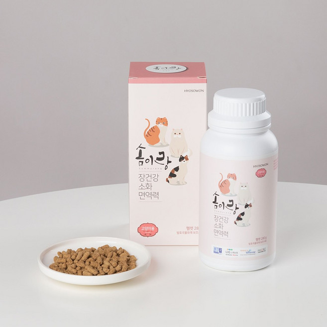 평생건강 솜이랑 강아지 소화 효소 불량 효소제 구토 소화제 강아지 피부영양제 췌장 강아지 위장영양제, 1개, 소화기능/췌장개선, 70회분