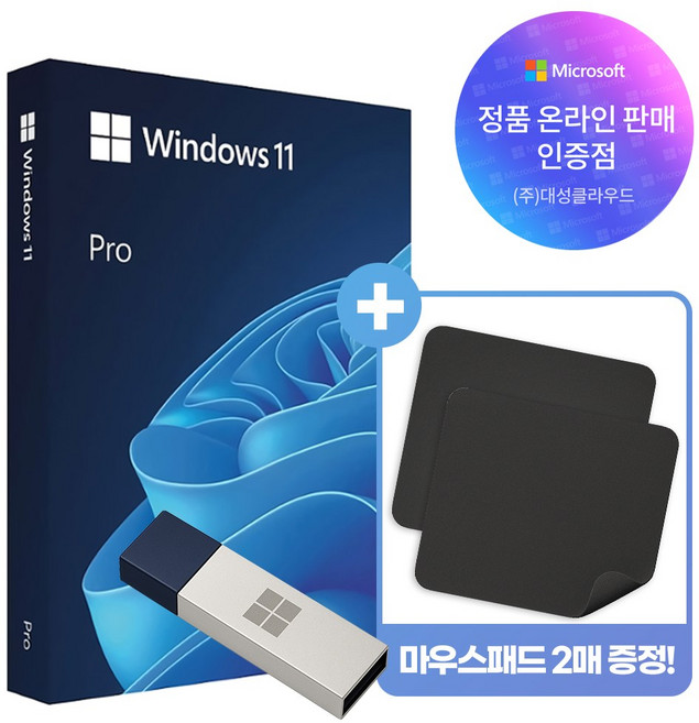 마이크로소프트 Windows 11 Pro 처음사용자용 FPP 한글 USB설치 마우스패드 2매 증정, Windows 11 Pro FPP + 마우스패드 2매