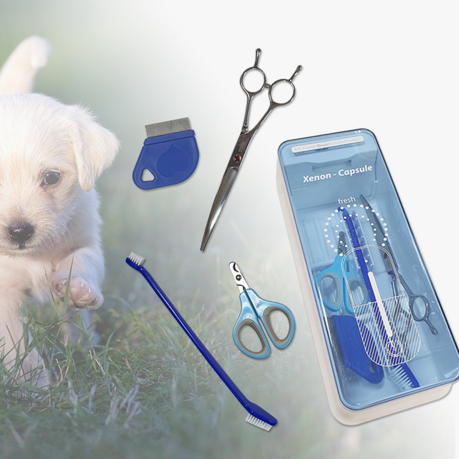 제논캡슐 휴대용 LED UV 살균 자외선 반려동물 장난감 강아지 고양이 빗 발톱깎이 칫솔 살균 간편 소독 99.9%, 반려동물 용품 살균기-제논프레쉬(AA)