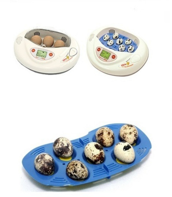 알콤미니부화기소란대