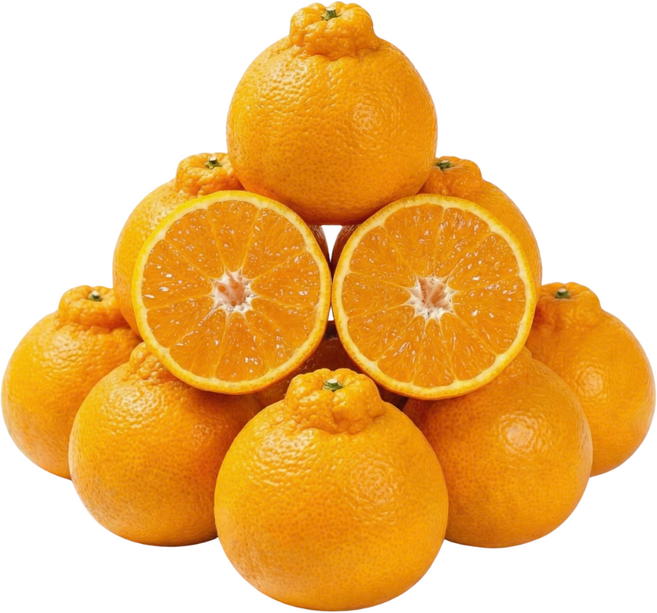 산지한입 제주 한라봉 선물용 가정용, 1박스, 3kg (혼합과)