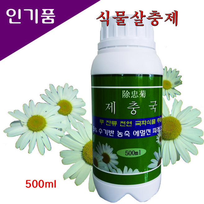 제충국, 500g, 1개