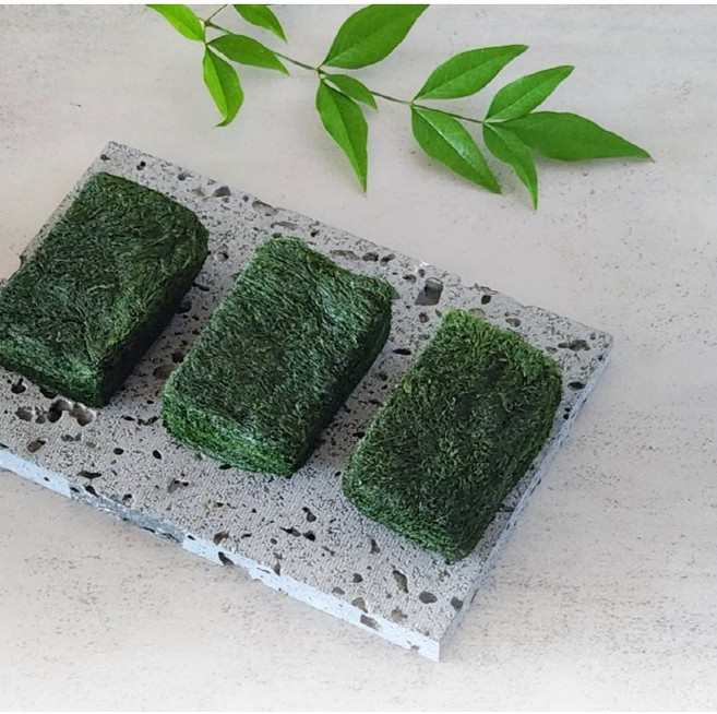 청정바다 동결건조 매생이 간편한 건매생이블럭, 10개, 2g