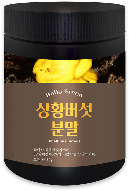 헬로우그린 국내산 상황 버섯 분말 50g(통), 1개