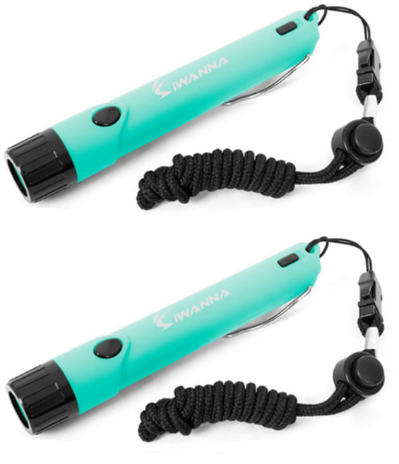 아이워너 전자호루라기 KS-895, 민트, 2개