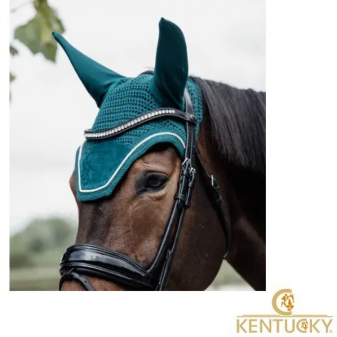 [KENTUCKY] Fly veil Wellington Pony 켄터키 벨벳 말 이마가리개 포니용, 오렌지, 1개