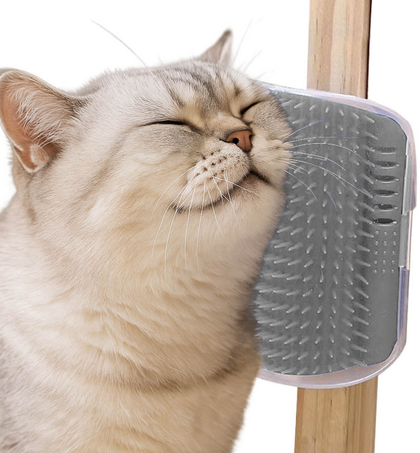 견행묘행 고양이 셀프 그루밍 브러쉬 털관리 빗, 2개, 그레이-M