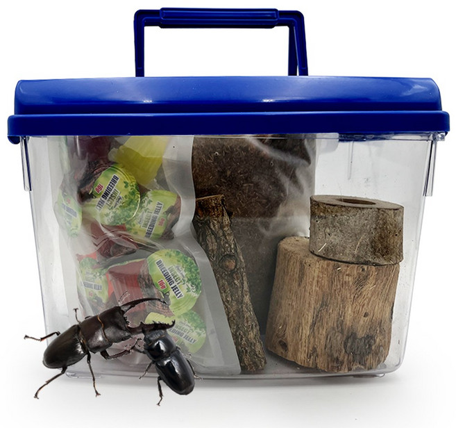 포시즌 사슴벌레 신형 사육세트, 02.신형대형_대형성충1쌍 포함, 1세트