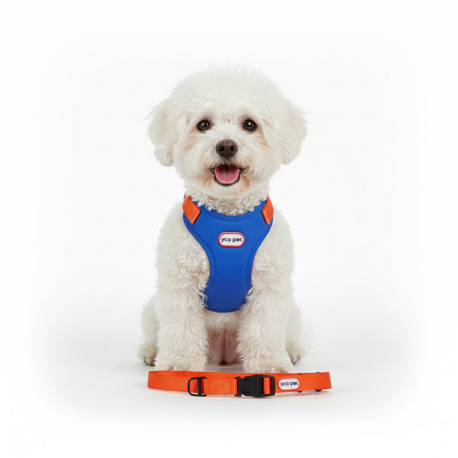 펫올웨이즈 강아지 하네스 투톤 리드줄 세트, 조절형 하네스, 블루