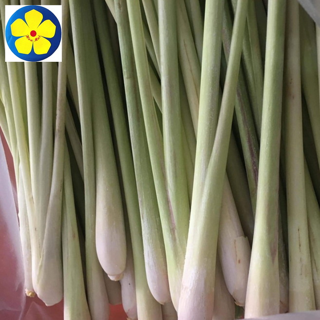 [J&J] Fresh 레몬그라스, 1kg, 1개