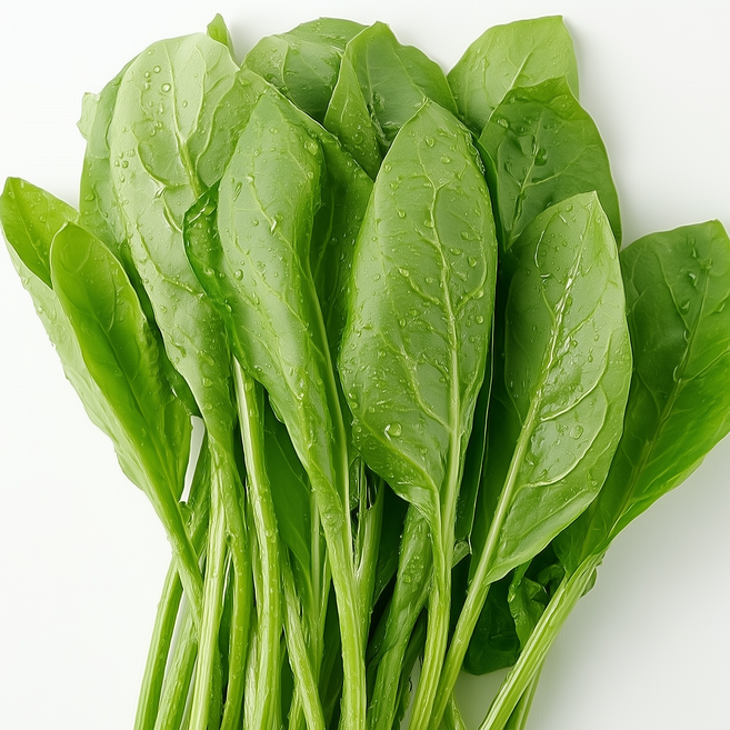 [SS급]프리미엄 국내산 모닝글로리 공심채, 1박스, 3kg