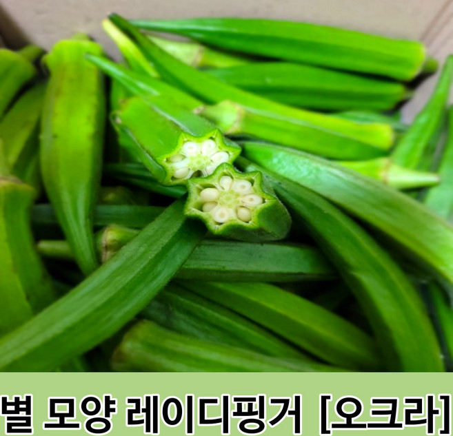 26년 국내산 생오크라 햇 okra 오크라 열대작물 햇오크라 육각형모양 채소 별모양 오크라, 1kg, 1개
