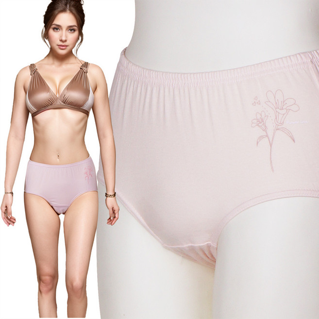 BYC 여성용 순면 맥시핏 팬티 5매입 넉넉한 빅사이즈 120까지