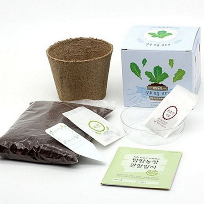 모종 키우기 키트 어린이 학습용 강낭콩 화분 재배 키트 채소 씨앗 가꾸기 가드닝 미니 텃밭 관찰 원예 허브, 고추, 고추