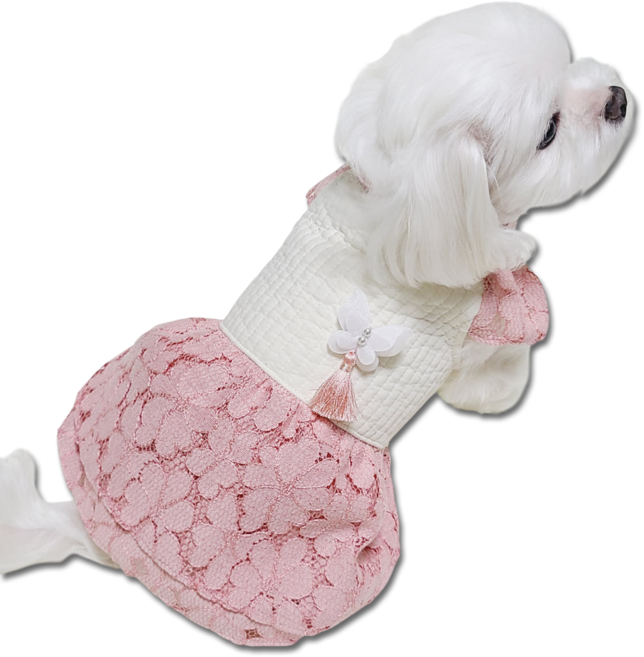 자수 꽃나비 강아지한복 원피스, 1개