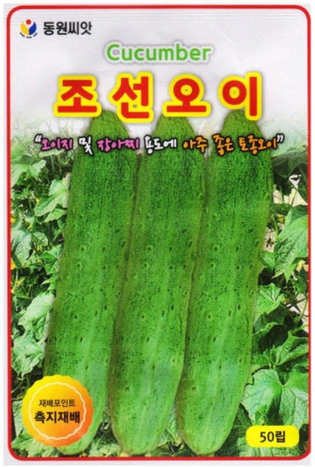 영농사 조선 오이 씨앗 50립 토종 오이씨, 2개