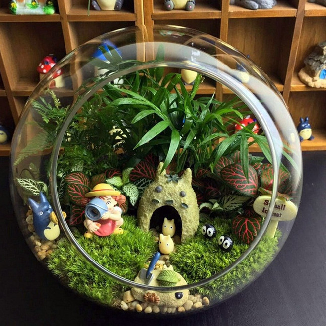 테라리움 미니정원 용기 원형 15cm 유리화분, 30개