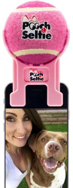 휴대폰 강아지 만능 셀카봉 반려견 훈련 사진용 테니스공 반려동물 셀카 도구로 강아지의 관심을 끌 수 있습니다 상어 탱크에서 볼 있듯이 녹색, Pink, Pink