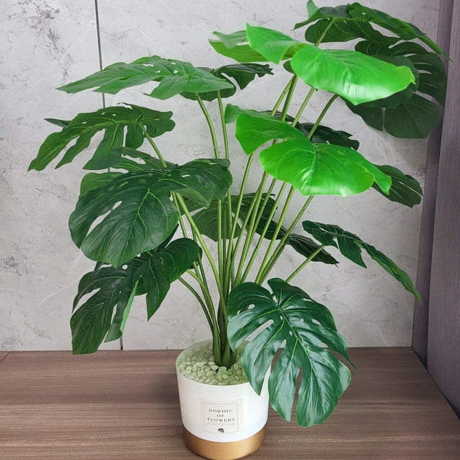 NORDIC OF FLOWERS 龜背芋仿真盆栽 室內裝飾人造植物, 1件, 仿真盆栽 龜背芋,超商限購4組!(要竹籃選小號就可), 黄心仙玉