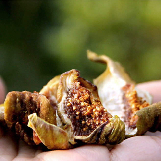 전라도 함평 유기농 무첨가물 무화과 말랭이 # 달콤쫄깃 프리미엄 말린 무화과 건강간식 100g 200g 400g 500g /자연건조 산지직송, 1세트, 500g (최상급)