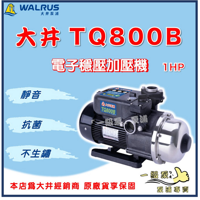 WALRUS 大井泵浦 TQ800B 電子穩壓加壓機, 1個, 標準1''（25mm),110V