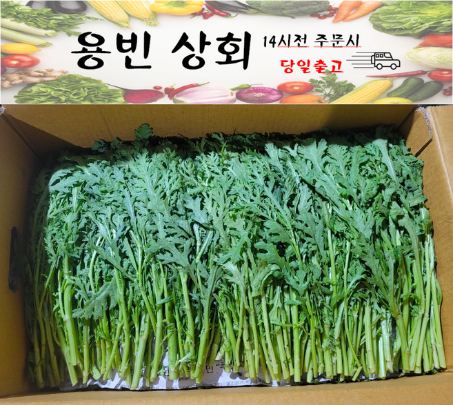 ( 용빈 상회 ) 국내산 쑥갓 1kg 2kg 4kg내외, 1박스