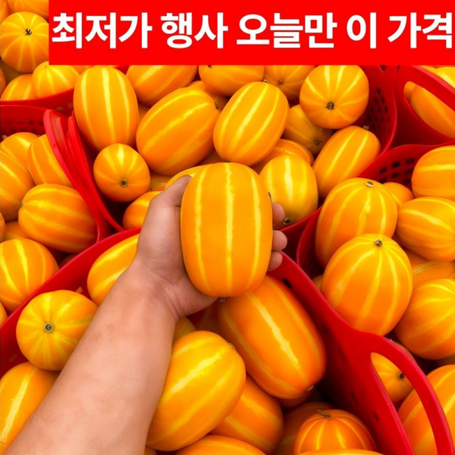 [한정판매] 산지직송 고당도 성주 참외, 1박스, 5kg (소과)