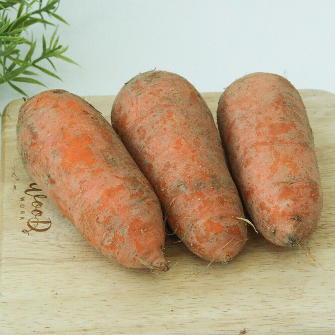 제주 친환경인증 유기농 햇당근 흙당근 특, 1개, 3kg